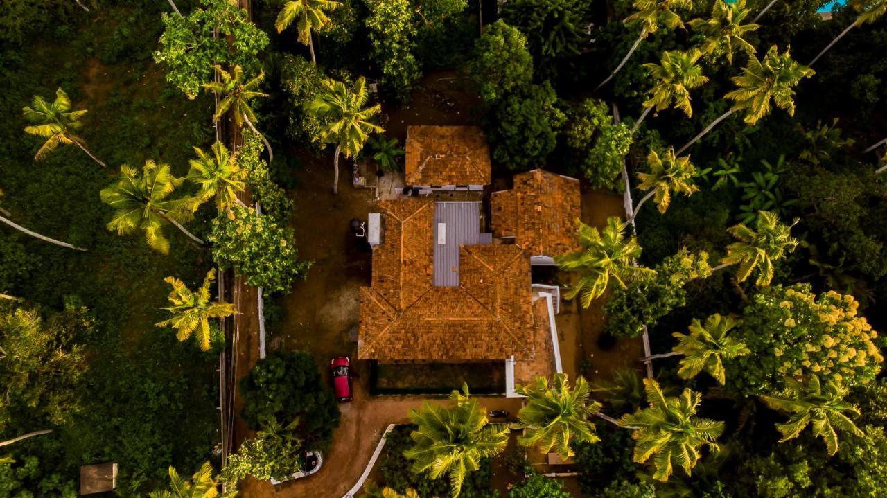 Piggy Hostel Varkala Eksteriør billede